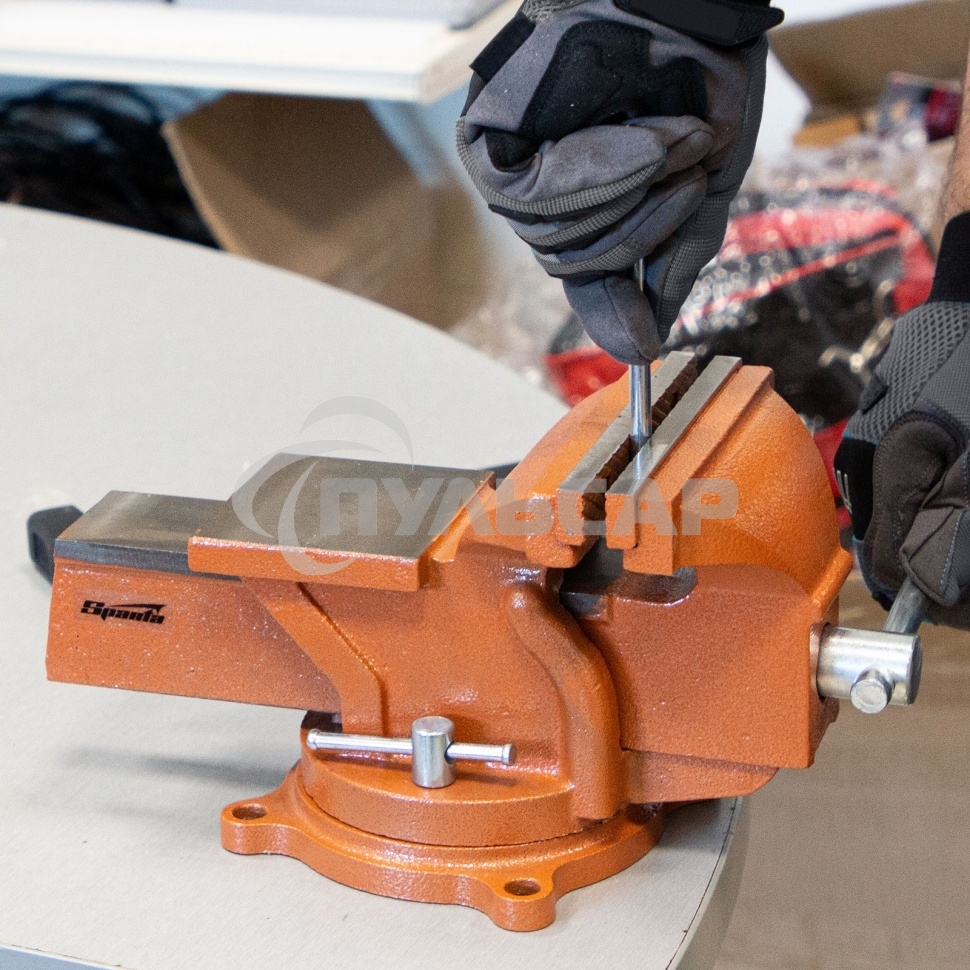 Тиски SPARTA 186275 слесарные 150мм поворотные с наковальней