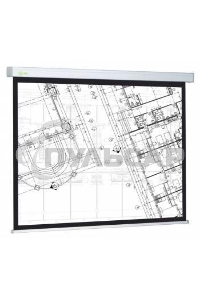 Экран Cactus 124.5x221см Wallscreen CS-PSW-124x221 16:9 настенно-потолочный рулонный белый