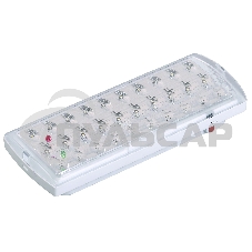 Светильник аварийный Iek LDPA0-2101-30-K01 ДПА 2101, аккумулятор, 4ч, 30LED, IP20, IEK