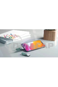 Флешка USB Sandisk 64 Gb iXpand Flip SDIX90N-064G-GN6NN USB3.1 зеленый/серебристый