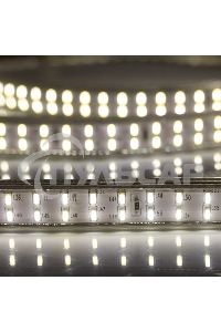 Лента светодиодная Neon-night 220 В, 6.5x15 мм, IP67, SMD 3014, 240 LED/m, цвет свечения теплый белый, 100 м