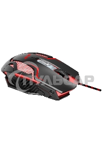 Мышь проводная Acer OMW125 черный оптическая (3200dpi) USB (6but)