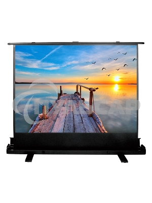 Экран Cactus 113x200см FloorExpert CS-PSFLE-200X113 16:9 напольный рулонный