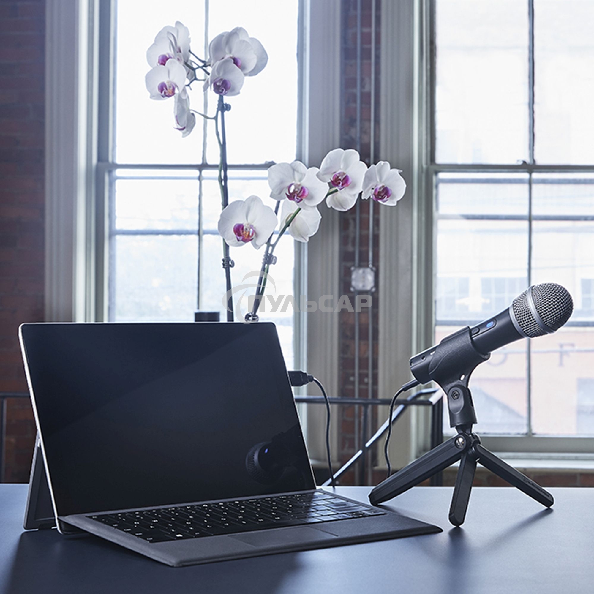 Микрофон проводной Audio-Technica ATR2100x 2м черный