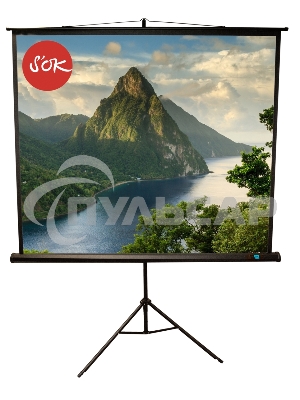 Экран 180x180см TriScreen 1:1 напольный рулонный черный 100'