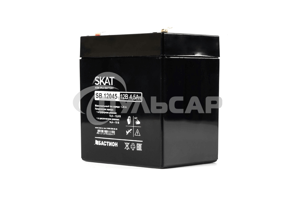 Аккумуляторная батарея БАСТИОН SKAT SB 12045 (Код товара: 2531)