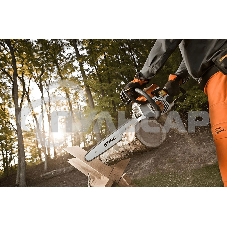 Бензопила STIHL MS 1701.3кВт/1.8лс 30.1см3 шина 14'' цепь 3/8''-1.1мм-50 3.9кг (баз.модель)