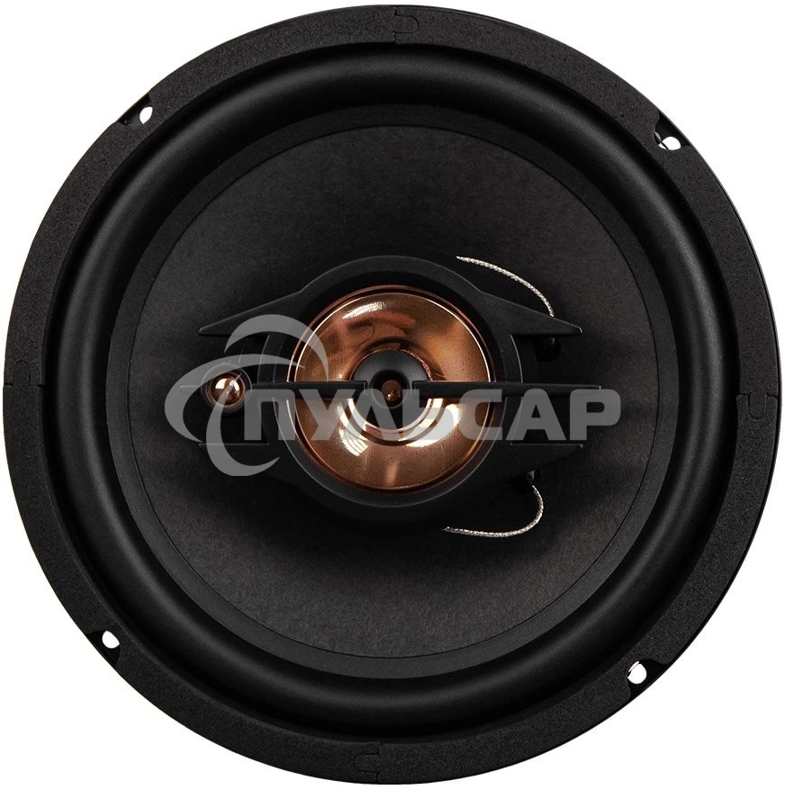 Колонки автомобильные ACV PB-803G 450Вт 90дБ 4Ом 20см (8дюйм) (ком.:2кол.) коаксиальные трехполосные