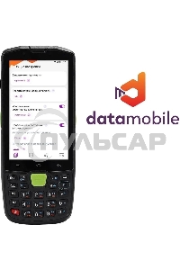 Неискл. право на исп-ие ПО DataMobile версия Стандарт подп.1г. (DM12M)