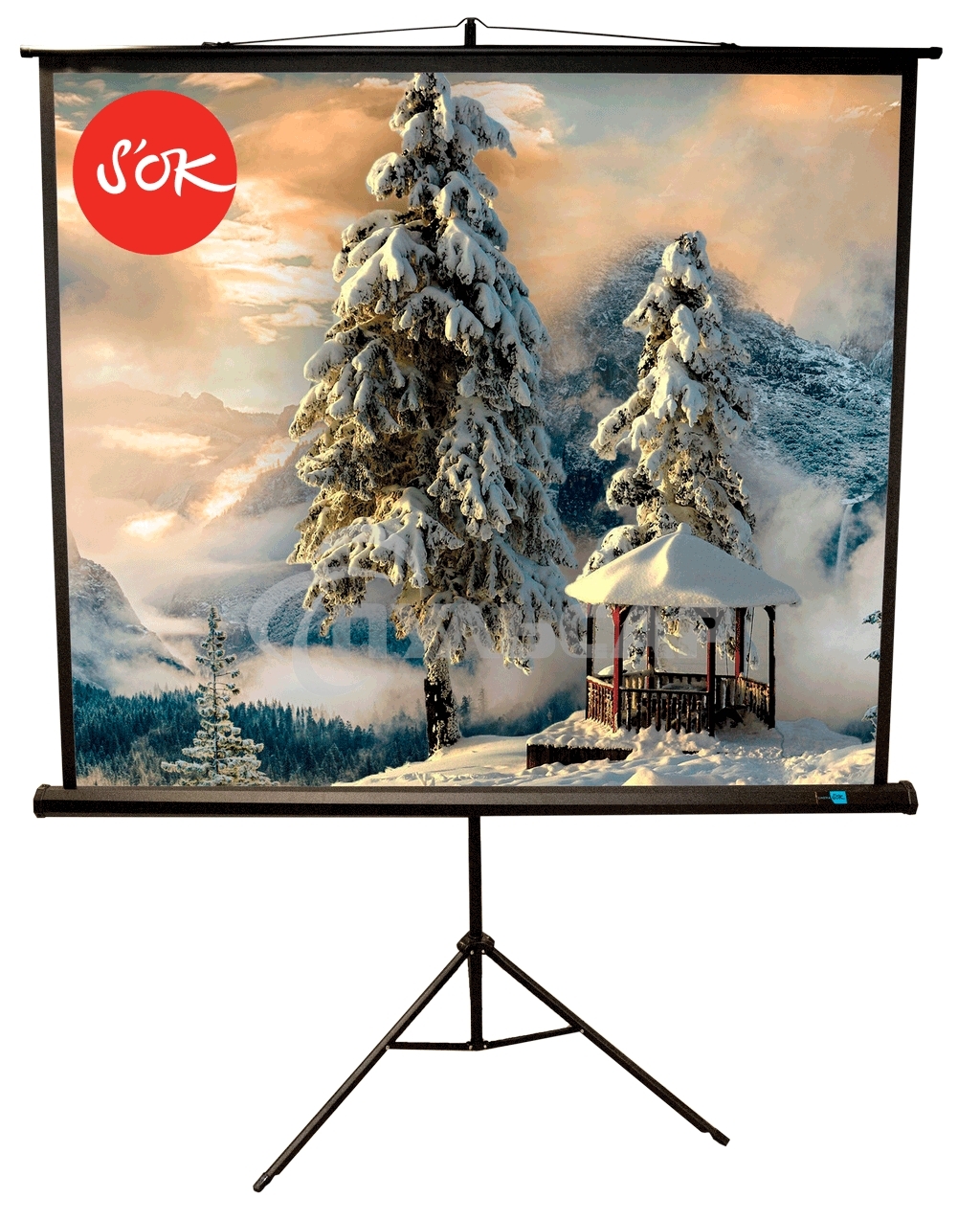 Экран 150x150см TriScreen 1:1 напольный рулонный белый84' Matt White (MW), черный корпус