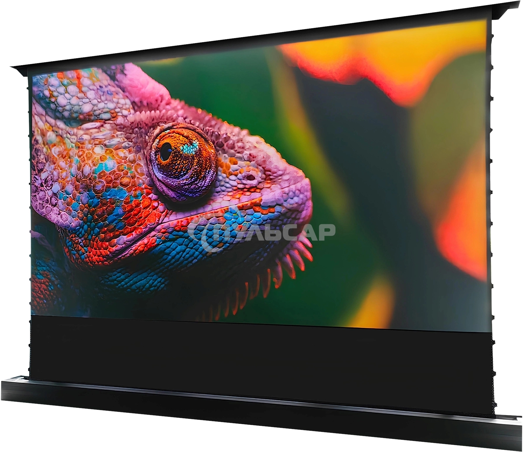 Экран Cactus 148x263см FloorRising CS-PSFRCLR-263X148 16:9 напольный рулонный черный (моторизованный привод)