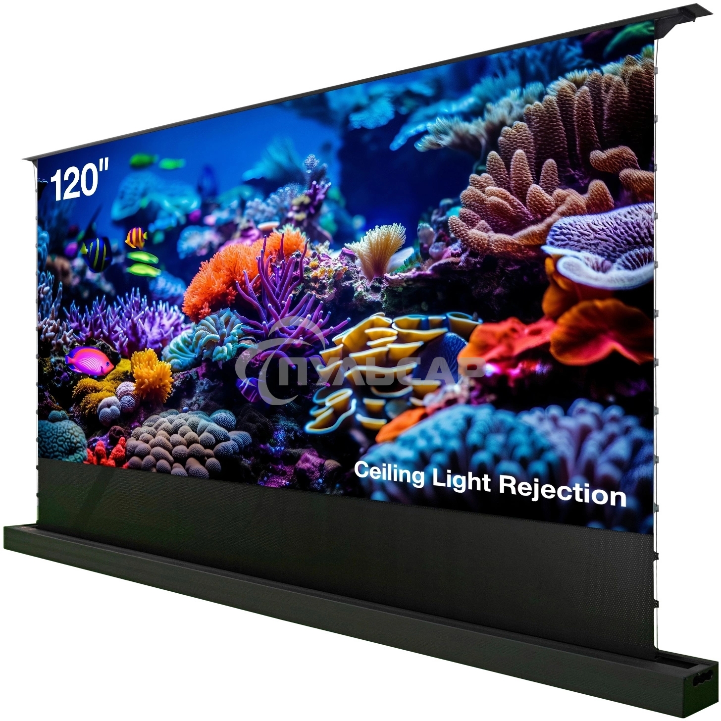 Экран Cactus 148x263см FloorRising CS-PSFRCLR-263X148 16:9 напольный рулонный черный (моторизованный привод)