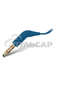 Наушники JBL Tune 110, 3.5 мм, внутриканальные, синий