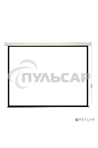 Экран с электроприводом Lumien Eco Control 183x244 см (раб. область 175х236 см) Matte White черная кайма по периметру 4:3