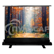 Экран Cactus 135x180см FloorExpert CS-PSFLE-180X135 4:3 напольный рулонный