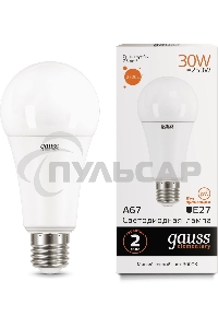 Лампа светодиодная LED Gauss Elementary A67 30Вт E27 3000К