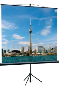 Экран на треноге Lumien 150x150см Eco View LEV-100101 1:1 напольный рулонный