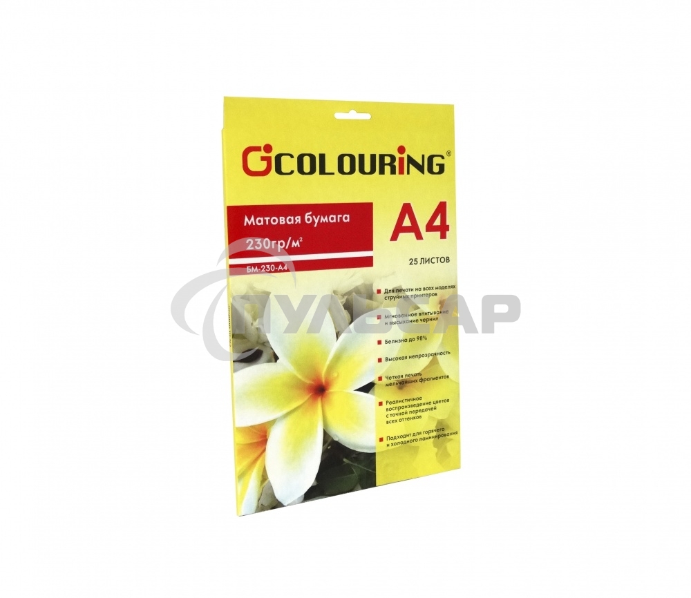 Фотобумага CG-БМ-230-А4-25 матовая, 230 г/м2, А4, 25 листов, 5760 dpi