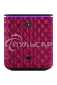 Умная колонка Яндекс Станция Миди, ZigBee, 24Вт, с голосовым ассистентом Алиса на YaGPT, малиновый