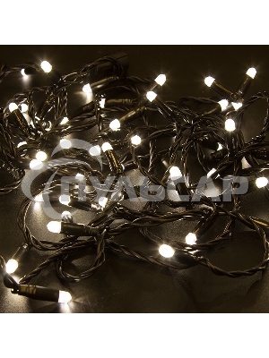 Гирлянда Neon-night Нить 10м, постоянное свечение, черный ПВХ, 24В, Теплый белый