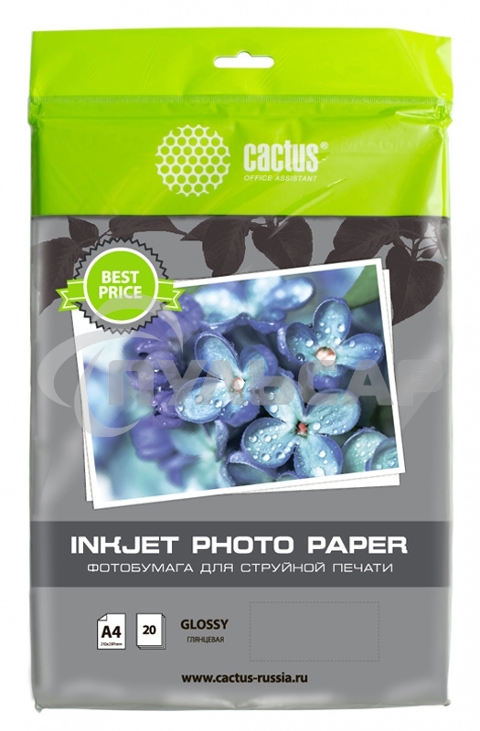 Фотобумага Cactus CS-GA413020ED A4/130г/м2/20л./белый глянцевое для струйной печати