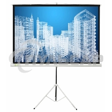 Экран Cactus 104.4x186см Triscreen CS-PST-104x186 1:1 напольный рулонный белый