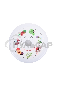 Сушилка для овощей и фруктов Великие реки Ветерок-5, 5 поддонов, в гофротаре