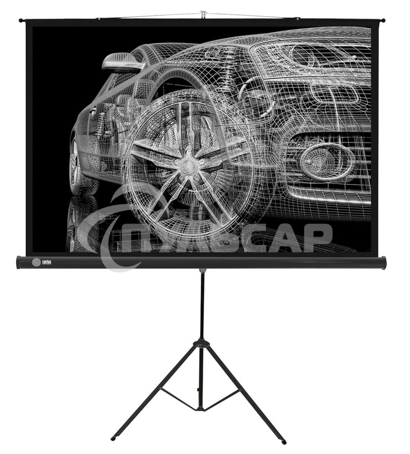 Экран Cactus 124.5x221см Triscreen CS-PST-124x221 16:9 напольный рулонный черный