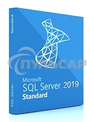 Лицензия Microsoft SQL Server Standard Edition 2019 English DVD 10 CAL (228-11548)