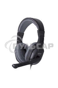 Гарнитура Ritmix RH-534M Gray 