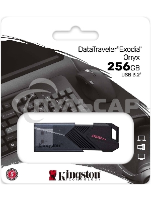 Флешка USB R/W R/W Kingston 256 Gb DataTraveler Exodia Onyx DTXON/256 Gb USB3.2 черный