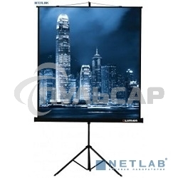 Экран на треноге Lumien 203x203см Master View LMV-100109 1:1 напольный рулонный