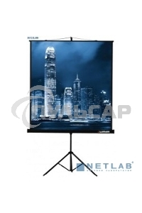 Экран на треноге Lumien 203x203см Master View LMV-100109 1:1 напольный рулонный