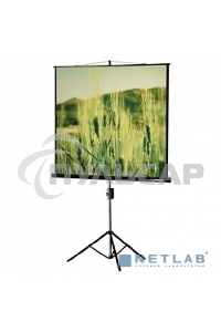 Экран на треноге Lumien 153x153см Master View LMV-100102 1:1 напольный рулонный