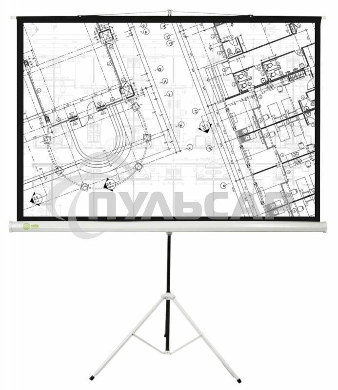 Экран Cactus 127x127см Triscreen CS-PST-127X127 1:1 напольный рулонный белый