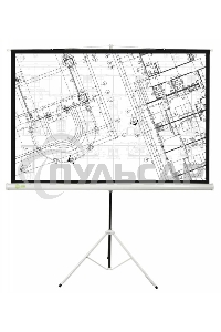Экран Cactus 127x127см Triscreen CS-PST-127X127 1:1 напольный рулонный белый