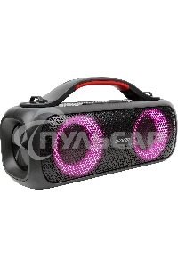 Колонка портатитвная Digma D-PS1531 черный/черный 40W 2.0 BT 10м 3000mAh (SP1531B)