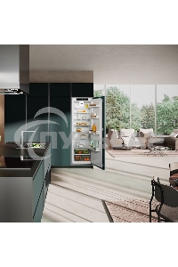 Встраиваемый холодильник Liebherr BUILT-IN IRE 5100-22 001