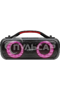 Колонка портатитвная Digma D-PS1531 черный/черный 40W 2.0 BT 10м 3000mAh (SP1531B)