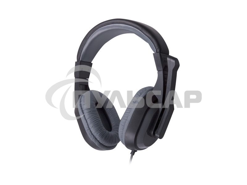 Гарнитура Ritmix RH-534M Gray 