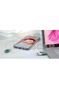 Флешка USB Sandisk 128 Gb iXpand Flip SDIX90N-128G-GN6NE USB3.1 зеленый/серебристый