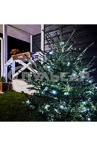 Гирлянда Neon-night 