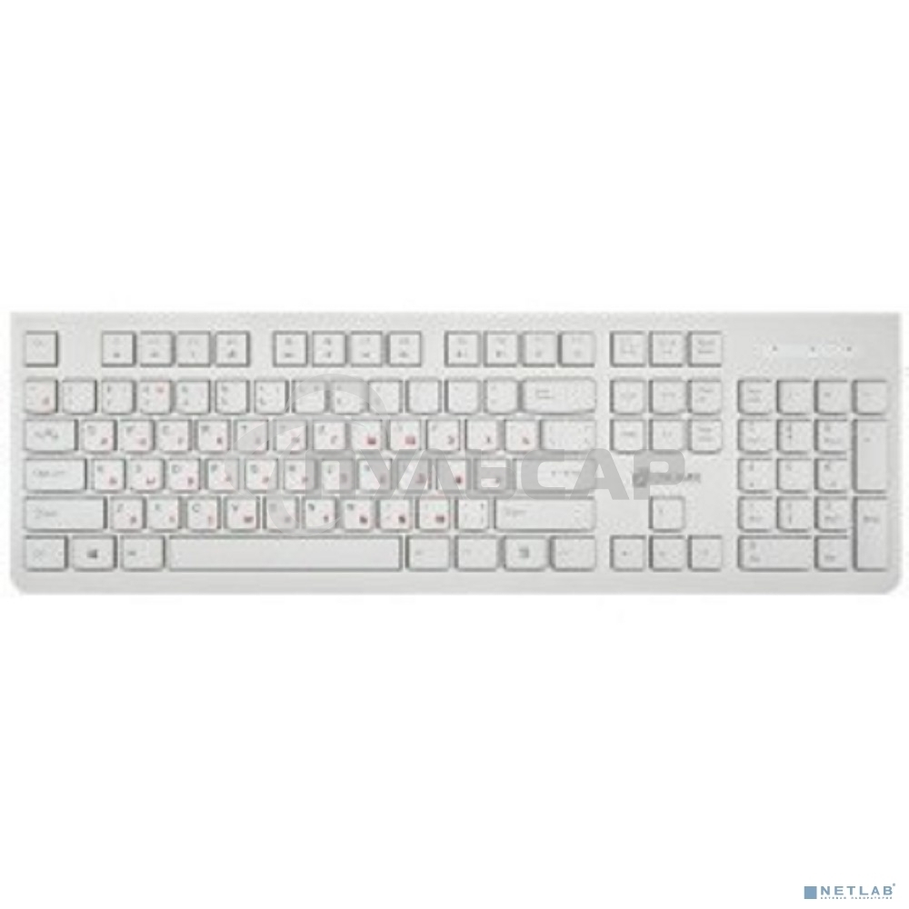Клавиатура проводная Oklick 505M белый USB slim