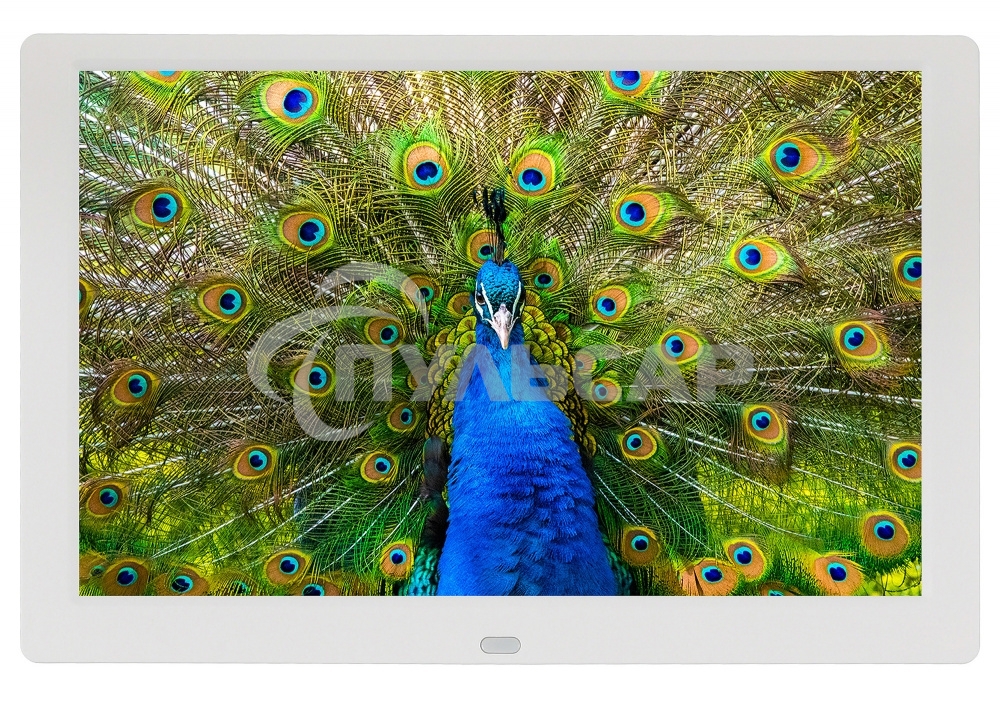 Фоторамка Digma 10.1