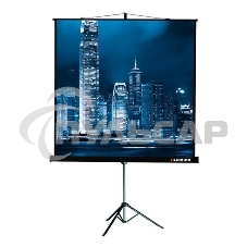 Экран на треноге Lumien 203x203см Master View LMV-100109 1:1 напольный рулонный
