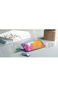 Флешка USB Sandisk 128 Gb iXpand Flip SDIX90N-128G-GN6NE USB3.1 зеленый/серебристый