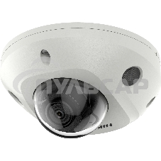 Видеокамера IP Hikvision DS-2CD2543G2-IS 2.8мм