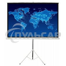Экран Cactus 150x150см Triscreen CS-PST-150x150 1:1 напольный рулонный белый
