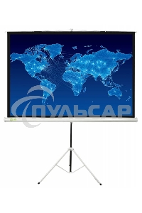 Экран Cactus 150x150см Triscreen CS-PST-150x150 1:1 напольный рулонный белый