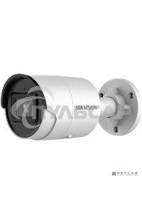 Видеокамера IP Hikvision DS-2CD2043G2-IU 2.8-2.8мм цветная